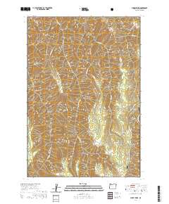 Sleepy Ridge 2020 topographic map thumbnail