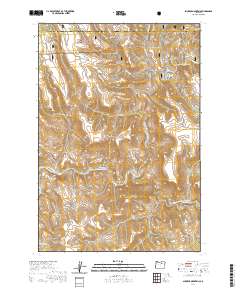 Slickear Mountain 2020 topographic map thumbnail
