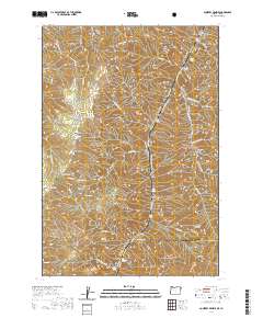 Squirrel Prairie 2020 topographic map thumbnail