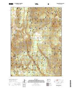 Stams Mountain 2020 topographic map thumbnail
