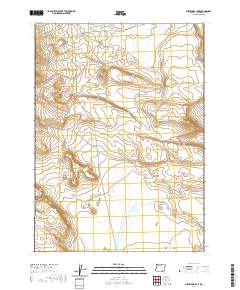 Surveyors Lake 2020 topographic map thumbnail