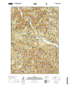 Susanville 2020 topographic map thumbnail