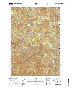 Swamp Mountain 2020 topographic map thumbnail