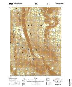 Swan Lake Point 2020 topographic map thumbnail