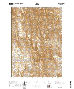 Swede Flat 2020 topographic map thumbnail