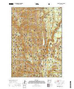 Tamolitch Falls 2020 topographic map thumbnail