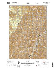 Temperance Creek 2020 topographic map thumbnail