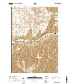 Thorn Hollow 2020 topographic map thumbnail