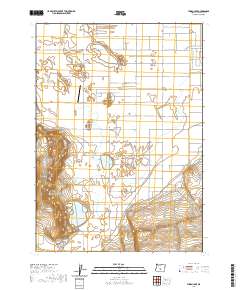 Thorn Lake 2020 topographic map thumbnail