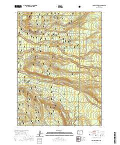 Thousand Springs 2020 topographic map thumbnail