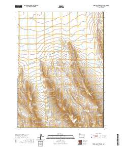Three Man Butte Well 2020 topographic map thumbnail
