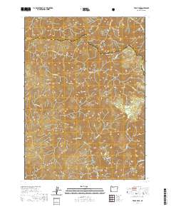 Tincup Peak 2020 topographic map thumbnail