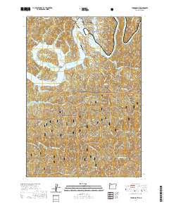 Toledo South 2020 topographic map thumbnail