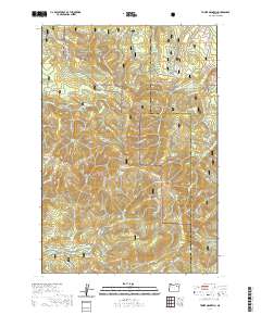 Tower Mountain 2020 topographic map preview