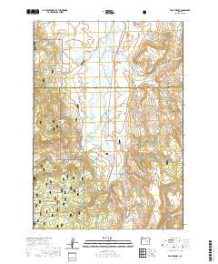Trout Creek 2020 topographic map thumbnail