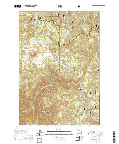Trout Meadows 2020 topographic map thumbnail