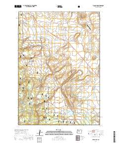 Tumalo Dam 2020 topographic map thumbnail