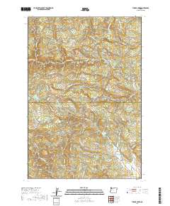 Turner Creek 2020 topographic map thumbnail