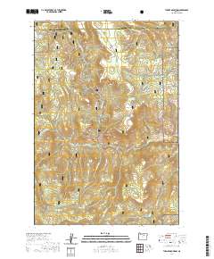 Turner Mountain 2020 topographic map thumbnail