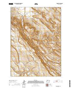 Twin Buttes 2020 topographic map thumbnail
