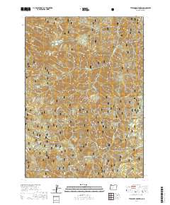 Twin Lakes Mountain 2020 topographic map thumbnail