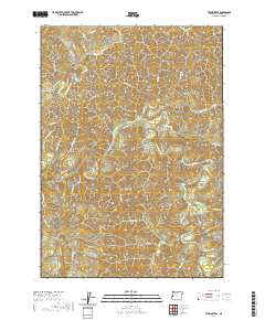 Twin Sisters 2020 topographic map thumbnail