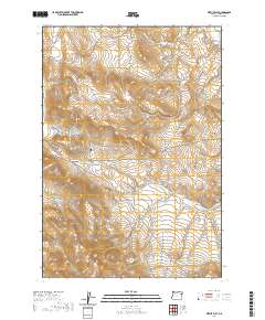 Virtue Flat 2020 topographic map thumbnail
