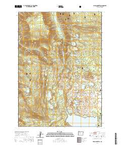 Waldo Mountain 2020 topographic map thumbnail