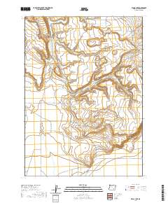 Walls Lake 2020 topographic map thumbnail