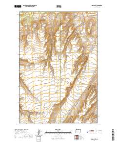 Ward Butte 2020 topographic map thumbnail