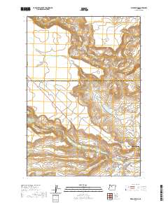 Warm Springs 2020 topographic map thumbnail