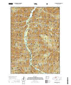 Warner Mountain 2020 topographic map thumbnail