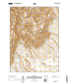 Warner Peak 2020 topographic map thumbnail