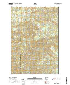Warnicke Creek 2020 topographic map thumbnail