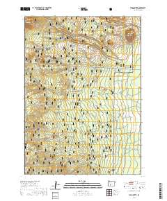 Welch Butte 2020 topographic map thumbnail