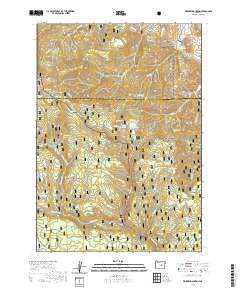Whiskey Mountain 2020 topographic map thumbnail