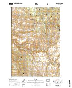 Wildcat Point 2020 topographic map thumbnail