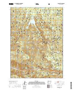 Willow Lake 2020 topographic map thumbnail