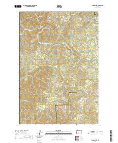 Woods Point 2020 topographic map thumbnail