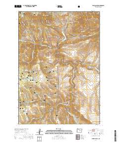 Aldrich Gulch 2020 topographic map thumbnail