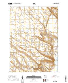 Alger Lake 2020 topographic map thumbnail