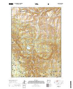 Antone 2020 topographic map thumbnail
