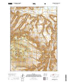 Arrowwood Point 2020 topographic map thumbnail