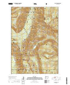 Badger Lake 2020 topographic map thumbnail