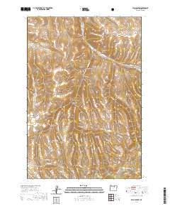 Balm Canyon 2020 topographic map thumbnail