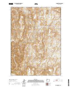Bannock Ridge 2020 topographic map thumbnail