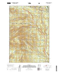 Beaver Butte 2020 topographic map thumbnail