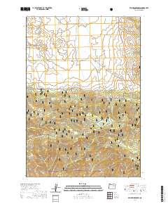 Belshaw Meadows 2020 topographic map thumbnail