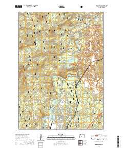 Benham Falls 2020 topographic map thumbnail