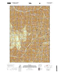 Big Meadows 2020 topographic map thumbnail